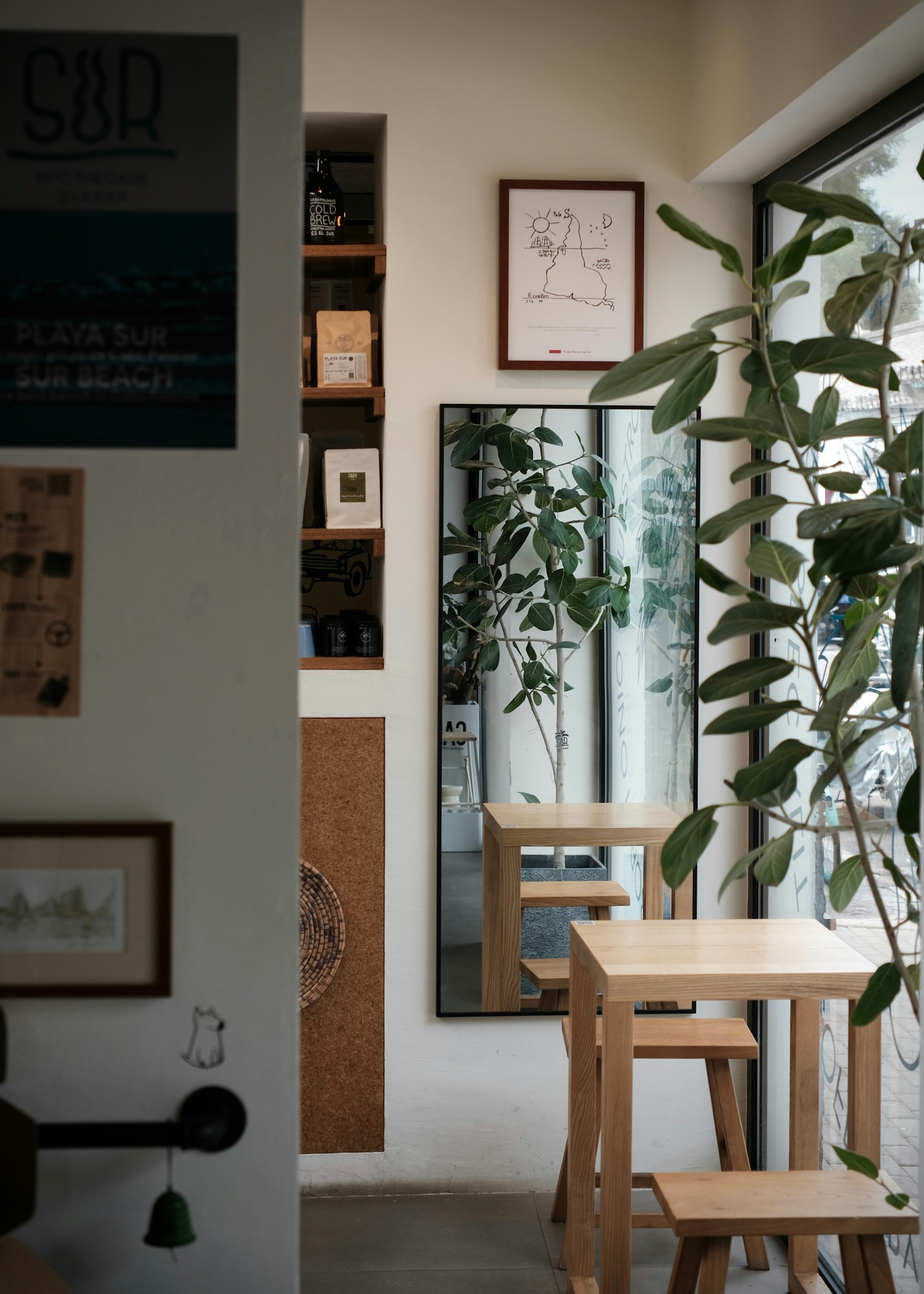 A welcoming café space with natural wood, greenery and soft daylight